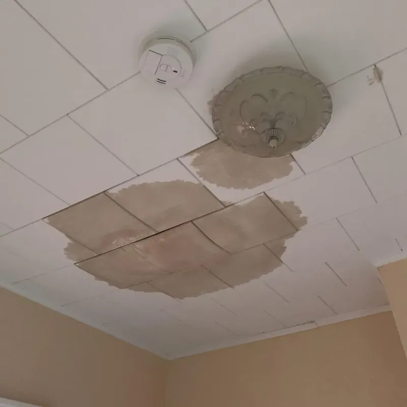 Ceiling Water Damage Repair in Chisholm, MN