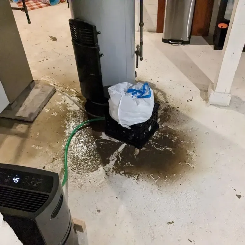 Sewage Backup Cleanup Service in Chisholm, MN